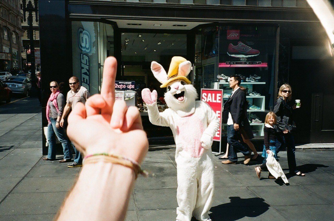 f987fa93aee116dced1d70115daeff75-guy-gives-bunny-rabbit-the-finger.jpg
