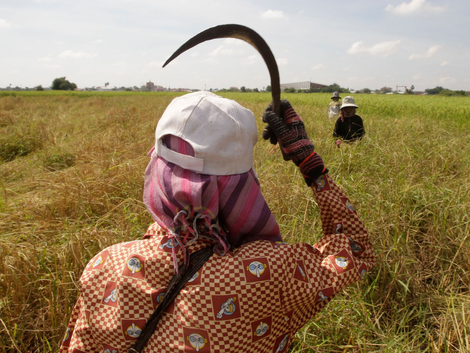 Cambodia Daily Life_Rata.jpg