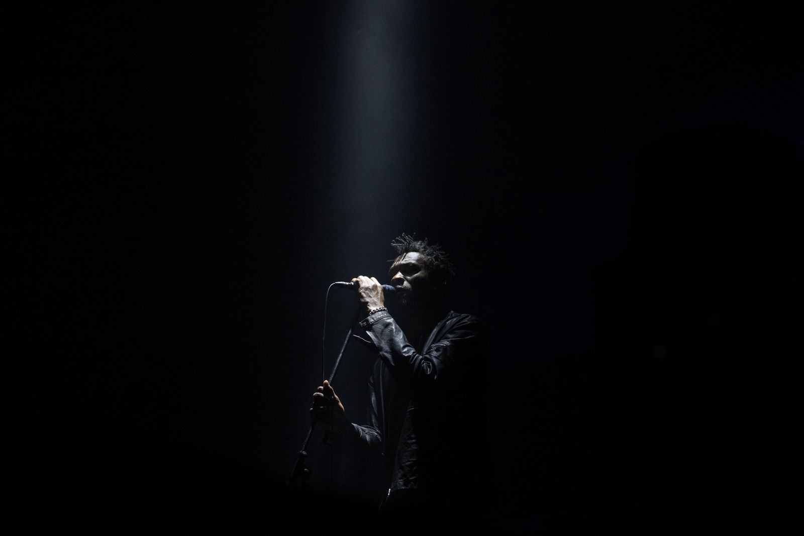 Clockenflap_Massive Attack.jpg