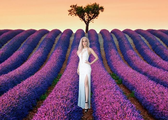 ทำไมถึงชอบเปรียบพวกโลกสวยว่ามาจาก 'ทุ่งลาเวนเดอร์' ?