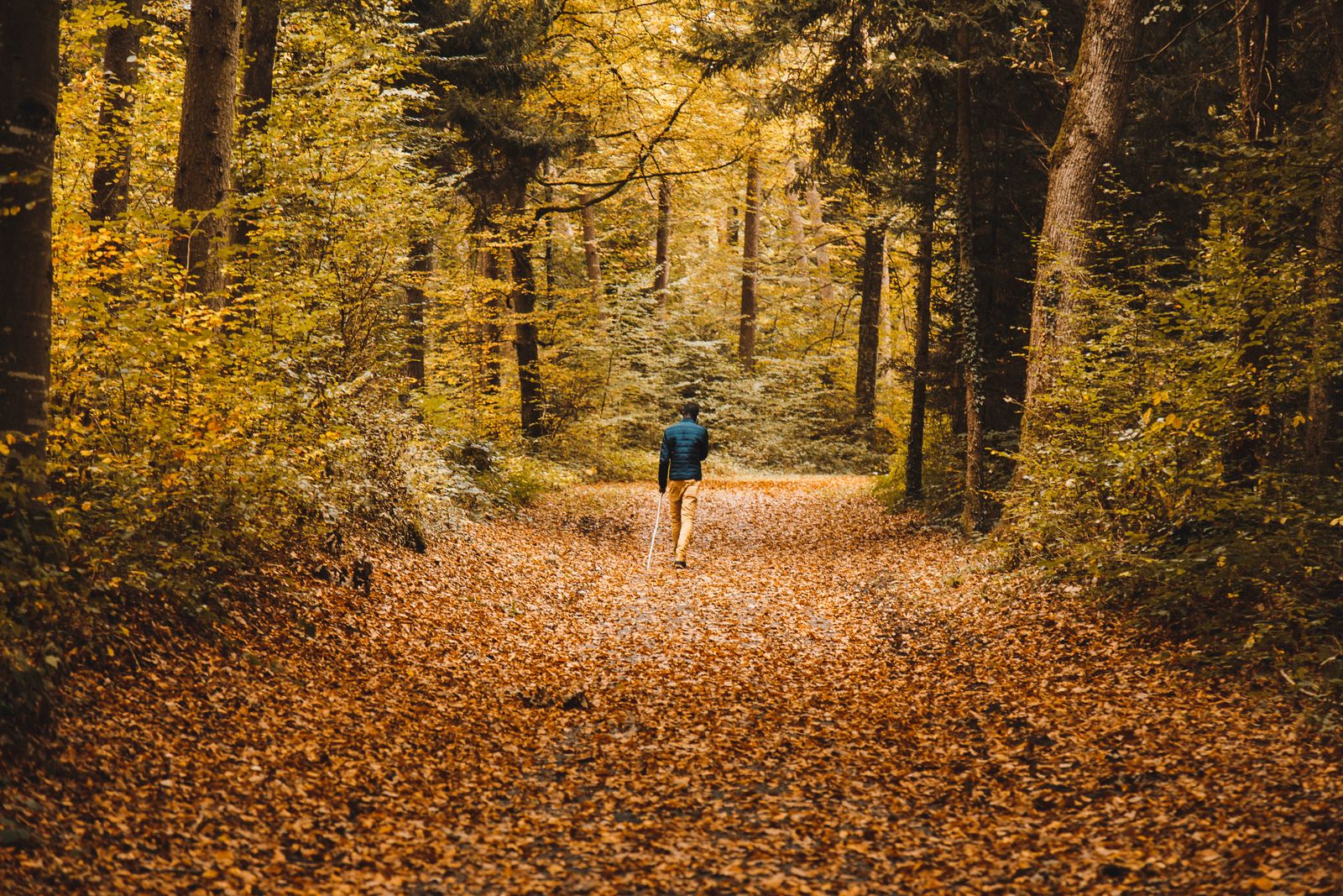 aliunix-535672-unsplash.jpg