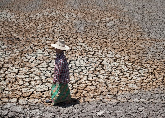 'เพื่อไทย' ประเมิน นโยบาย รบ. 'ช่วยชาวนา' ส่อสร้างภาระเกษตรกรก่อหนี้