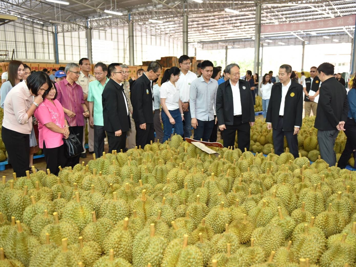 สนธิรัตน์ สนธิจิรวงศ์