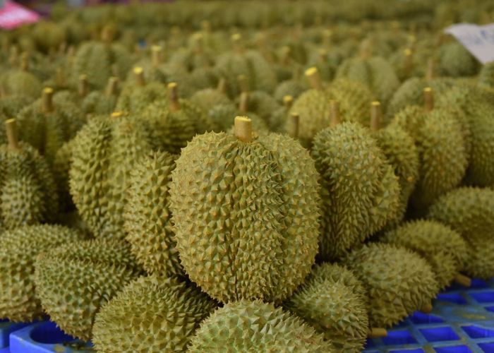 ปลดล็อคทุเรียนไทย! ‘อิทธิ’ ประเดิมปล่อยทุเรียนคุณภาพล็อตแรกไปจีน ณ ด่านพรมแดนนครพนม