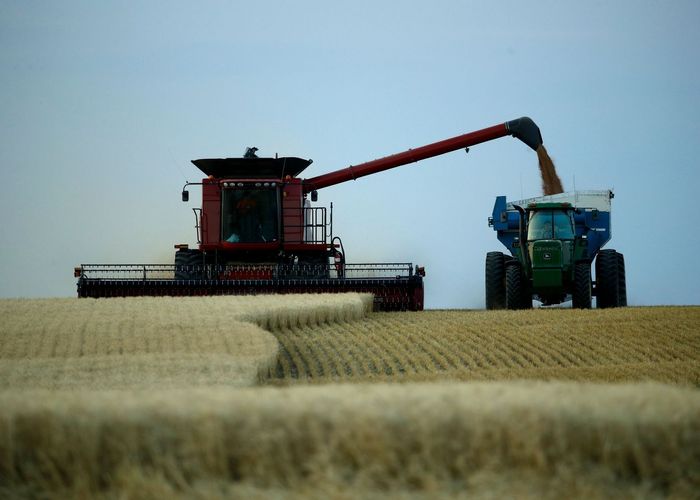 พาณิชย์ย้ำภาษีข้าวสาลีต่ำตามข้อตกลงระหว่างประเทศ-เร่งแก้ปมผลกระทบเกษตรกรปลูกข้าวโพด
