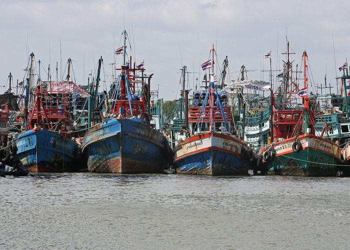 'อนาคตใหม่' ลงพื้นที่ปัตตานี สะท้อนปัญหา 'ธุรกิจประมง' ทรุดหนัก