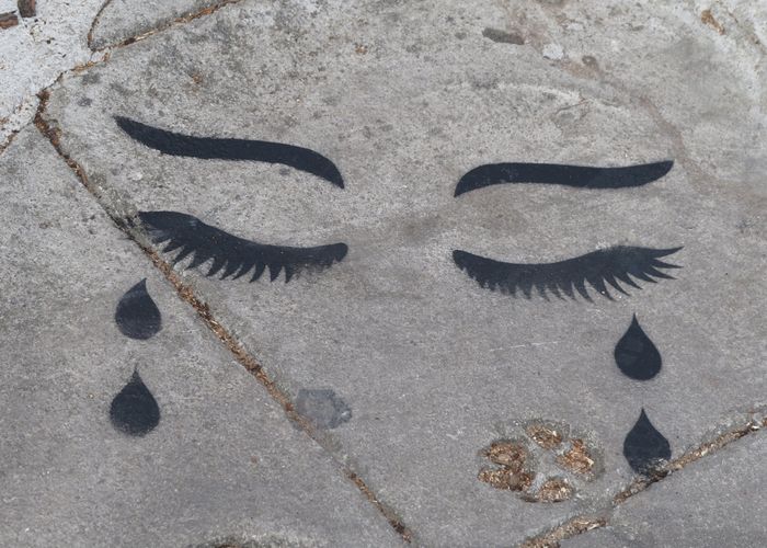 Headache Stencil 'RIP ต้นจามจุรียักษ์' อายุกว่า 50 ปี ย่านประชานิเวศน์ 1