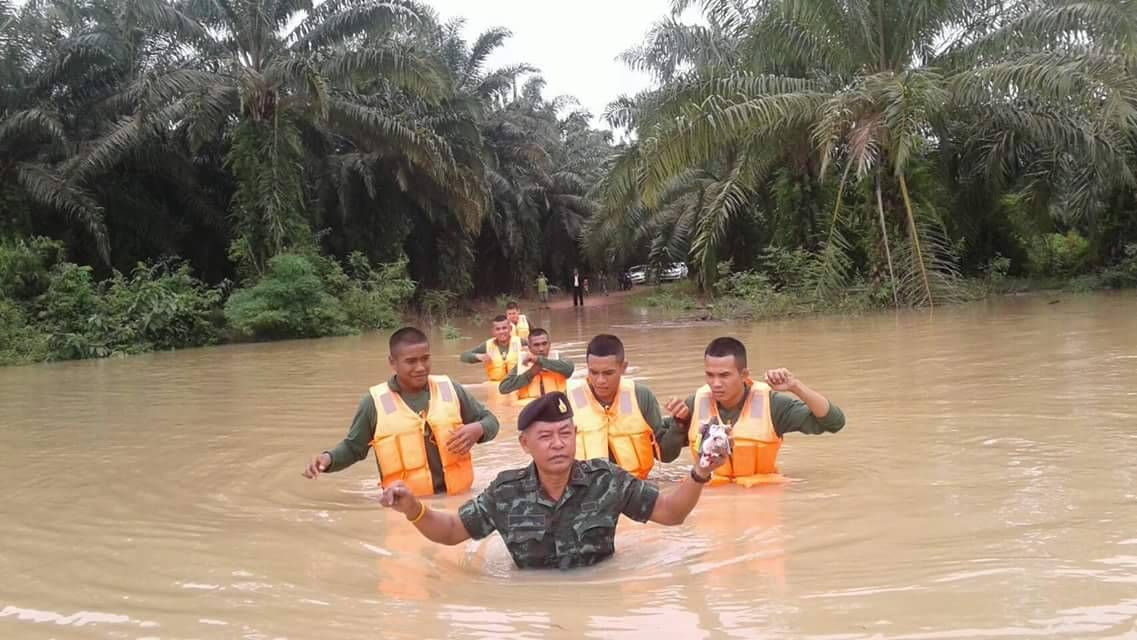 กองทัพบก-น้ำท่วม-อุทกภัย-ภัยธรรมชาติ-ฝนตก-บ้านเรือนเสียหาย-ช่วยเหลือ-ผู้ประสบภัย-ชาวบ้านเดือดร้อน-ทหาร