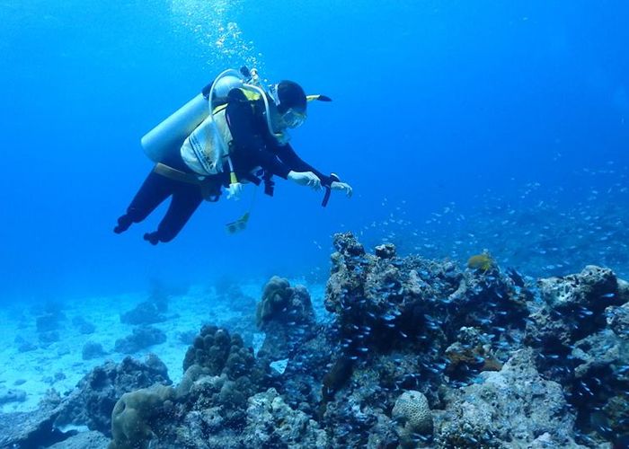 แหวกผืนน้ำ สัมผัสความอิสระของผู้พิการกับ Wheelchair Scuba Thailand