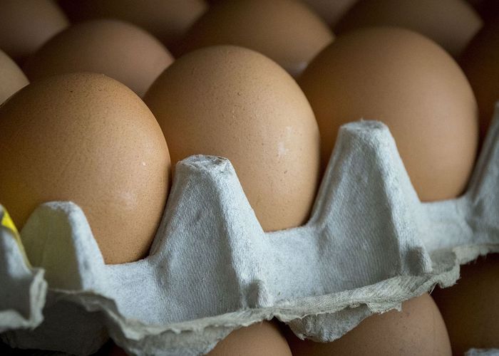 สิงคโปร์เพิ่มโควต้าเพื่อนำเข้าไข่ไก่สดไทยอีก 10.8 ล้านฟองต่อเดือน