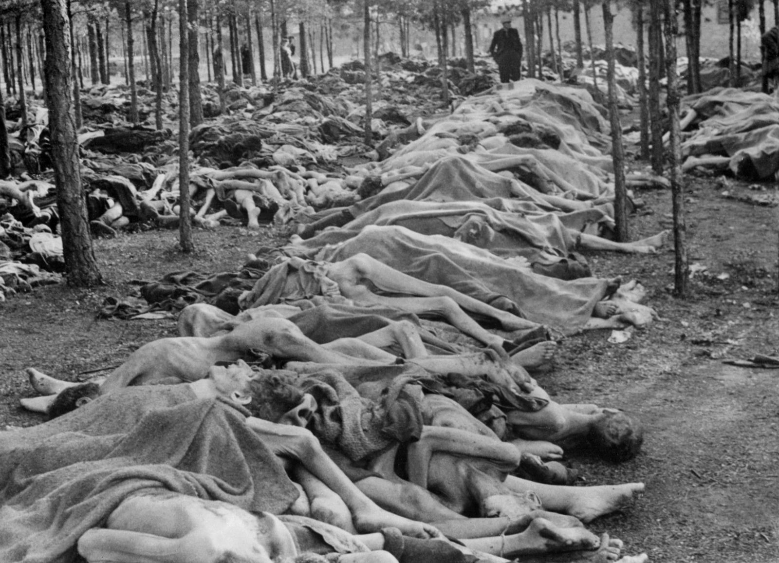 AFP-คนตายในค่ายกักกันนาซี Bergen-Belsen ช่วงเดือน เม.ย.1945 ส่วนใหญ่เป็นคนป่วยที่ทำงานไม่ได้-2.jpg