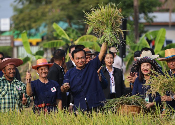 'ประยุทธ์' สั่งทีมบริหารจัดการข้าว ปรับมาตรการรับมือ ช่วงเปลี่ยนผ่าน