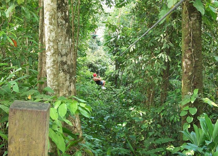 พิสูจน์หลักฐานตรวจจุดเกิดเหตุซิปไลน์ - ผู้ประกอบการพร้อมรับผิดชอบทุกอย่าง