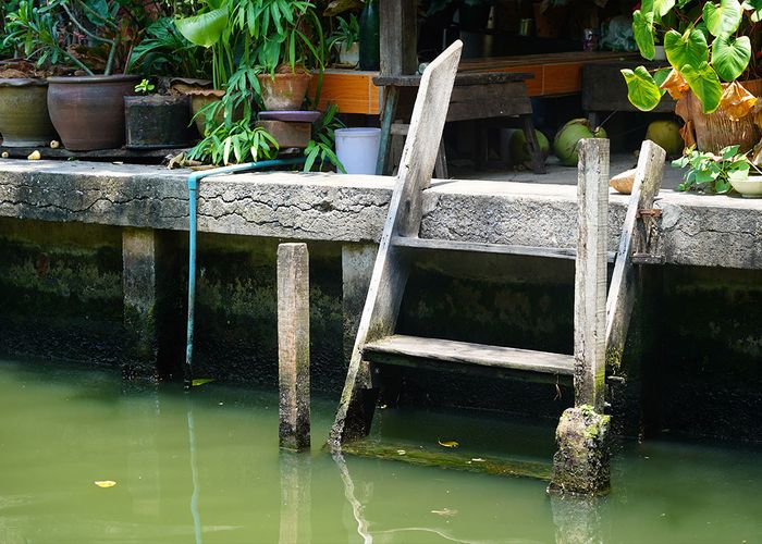 คุณภาพน้ำย่านสะพานกรุงเทพ ค่าออกซิเจนต่ำ ทำให้ปลาตายจำนวนมาก