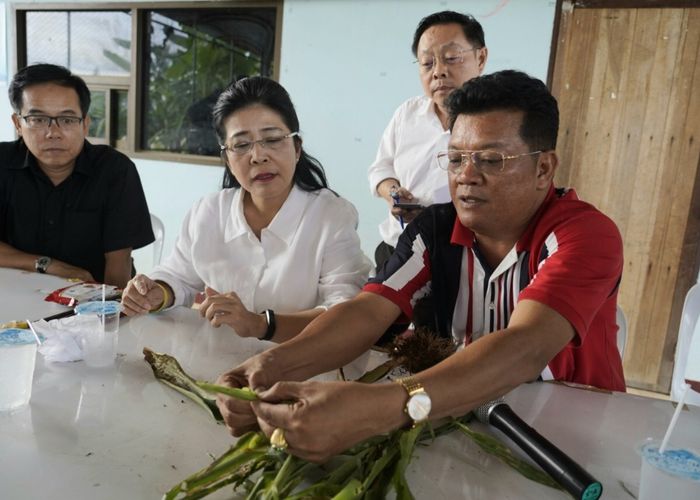 ‘สุดารัตน์’ ลุยโคราช พบหนอนระบาดกัดไร่ข้าวโพดทั่ว ‘ปากช่อง’ เร่งภาครัฐช่วยจ่ายชดเชยชาวบ้าน