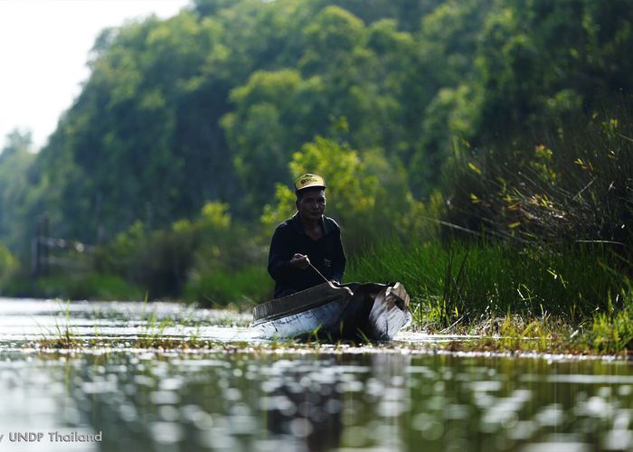 สผ. – UNDP ร่วมฟื้นฟูป่าพรุ-พื้นที่ชุ่มน้ำ รับมือภัยโลกร้อน