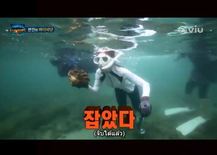 SBS สอบเข้ม ทีมรายการ Law of The Jungle  ลักลอบถ่ายทำ-จับหอยมือเสือในไทย