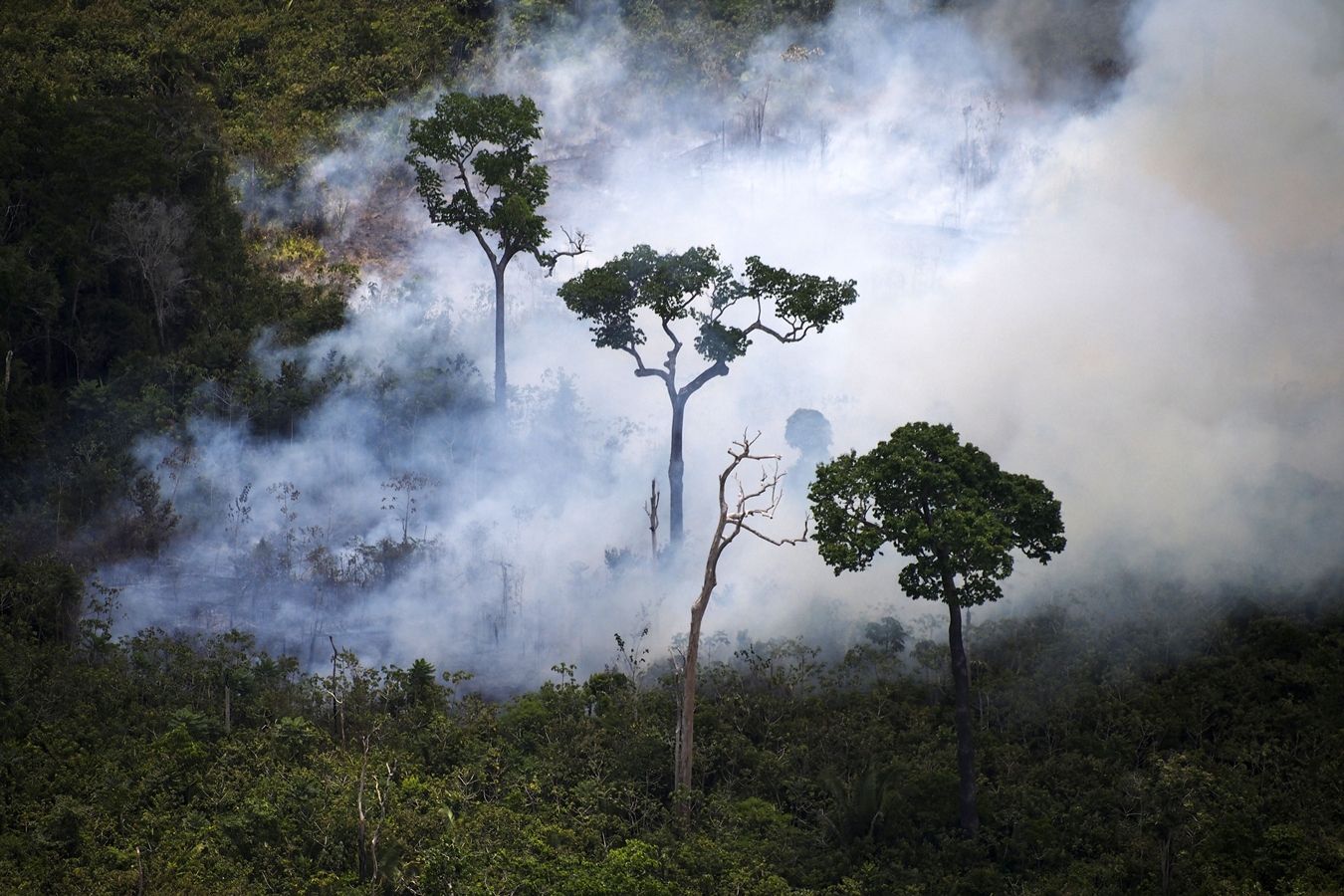 AFP ไฟป่า แอมะซอน บราซิล 2019 Wildfire Amazon Brazil