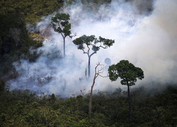 7 ประเทศอเมริกาใต้ลงนามข้อตกลงปกป้องป่าแอมะซอน