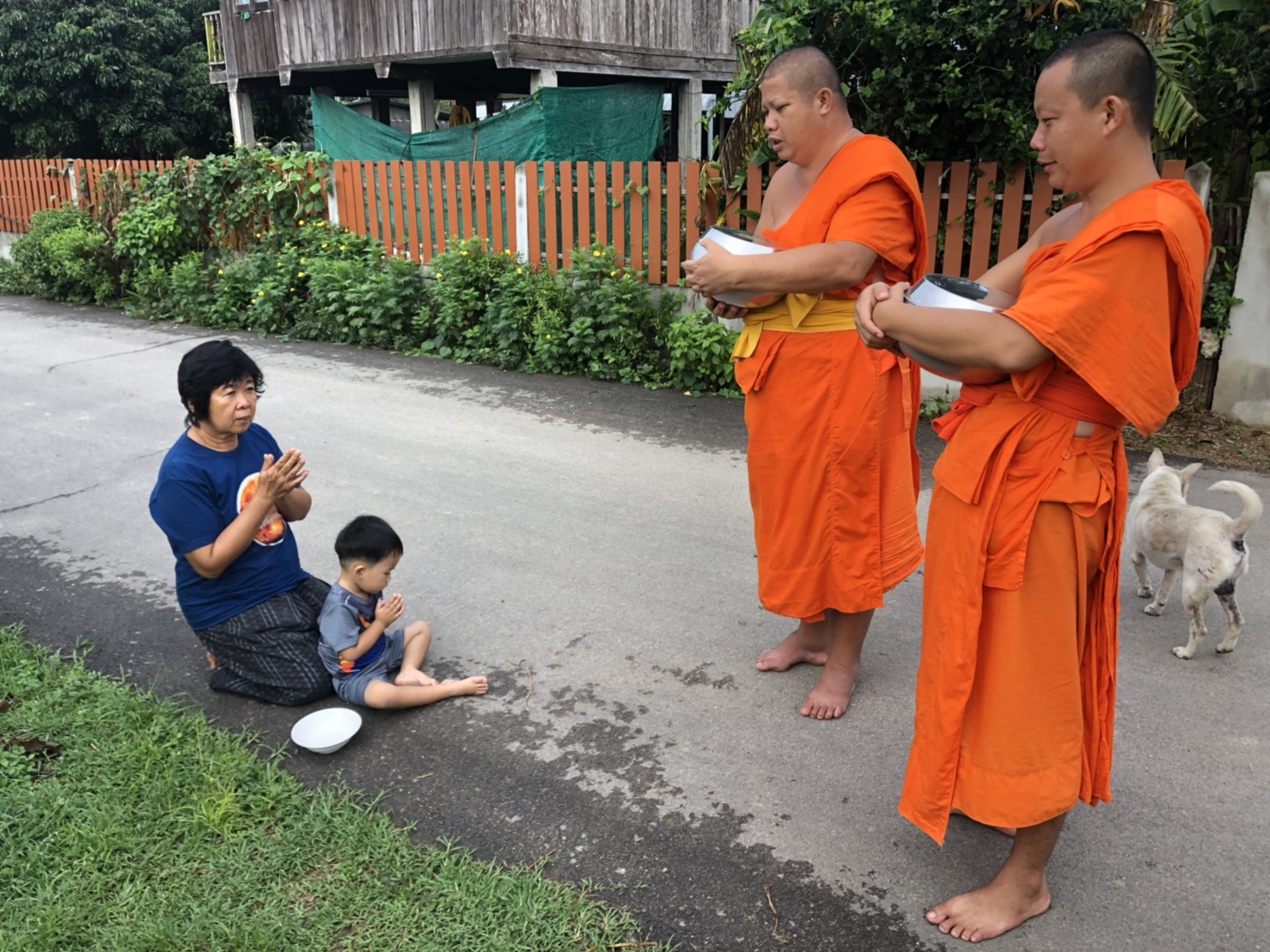วัดป่าบุก