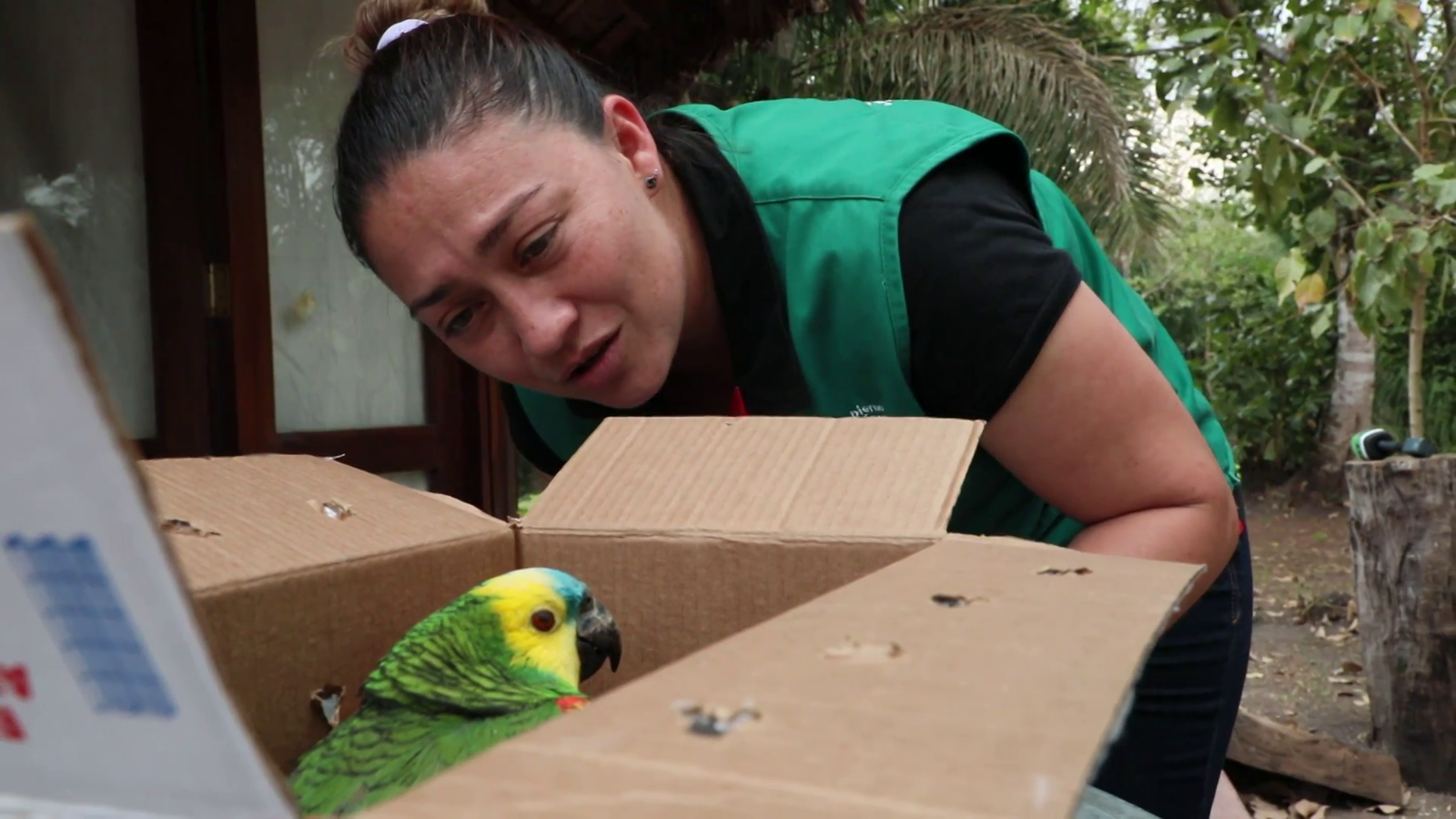 Ruptly-อาสาสมัครโบลิเวียช่วยสัตว์ป่วยจากไฟป่าแอมะซอน.png
