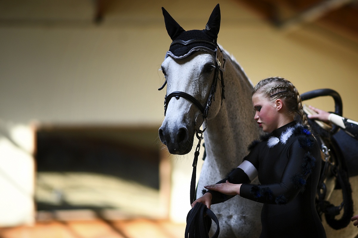 horse FEI Vaulting Wold Cup