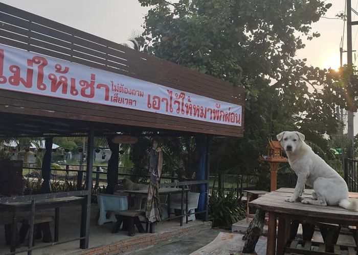 'หมาเปลี่ยนชีวิต' เรื่องของพ่อพระ 'ประชาธิปไตย อุทุม'