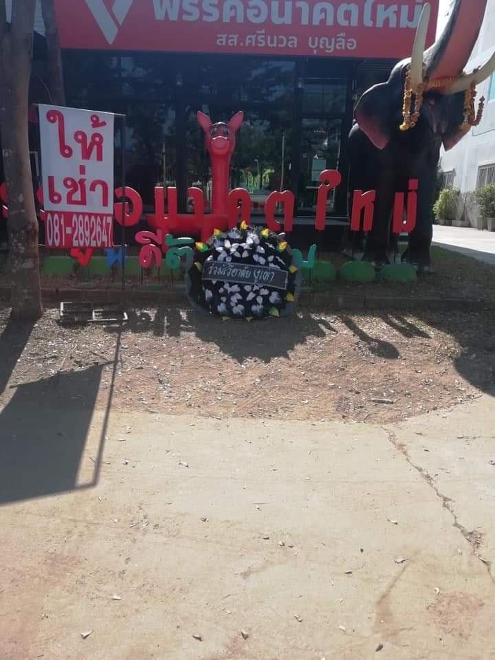 n.jpg