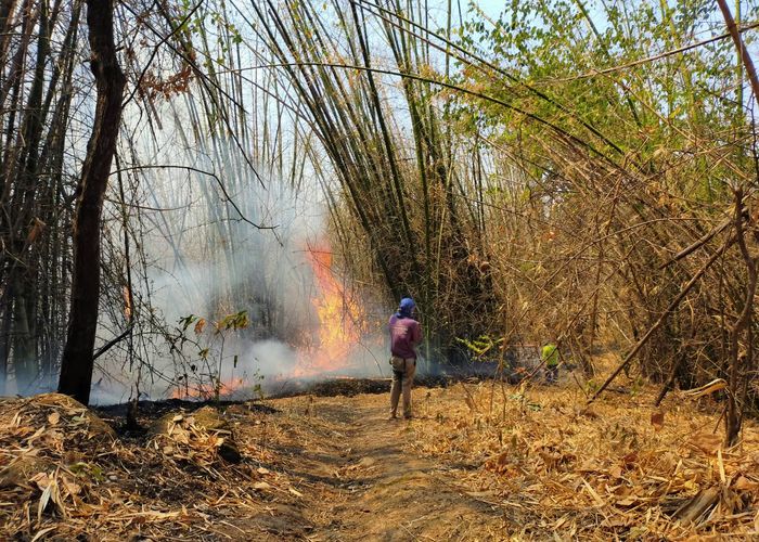 ไฟไหม้ 'อุทยานแห่งชาติทับลานมรดกโลก' ไม่สงบ เร่งระดมกำลังดับ