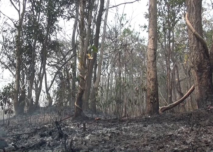 ไฟป่าอุทยานแห่งชาติดอยสุเทพ-ปุย เสียหายแล้ว 200 ไร่