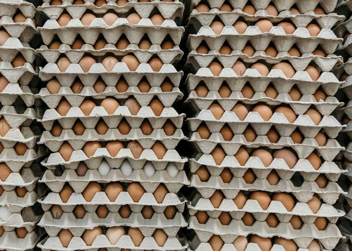 พาณิชย์ เร่งดันส่งออกไข่ไก่ 200 ล้านฟอง-สนับสนุนค่าบริหารจัดการฟองละ 50 สตางค์