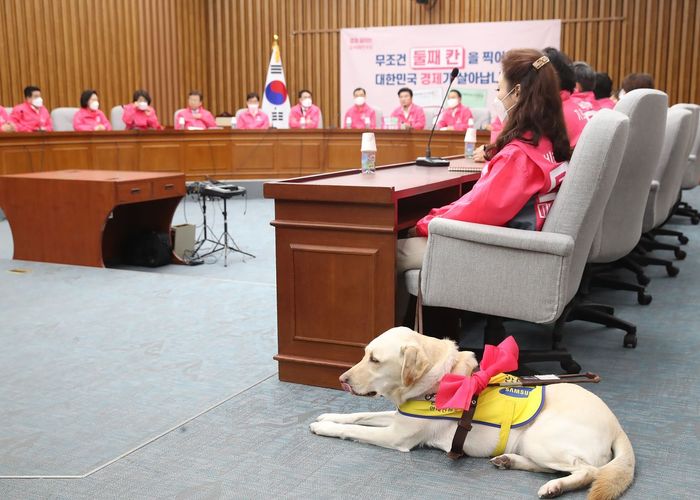 เกาหลีใต้ไฟเขียวให้หมาเข้าที่ประชุมสภาได้