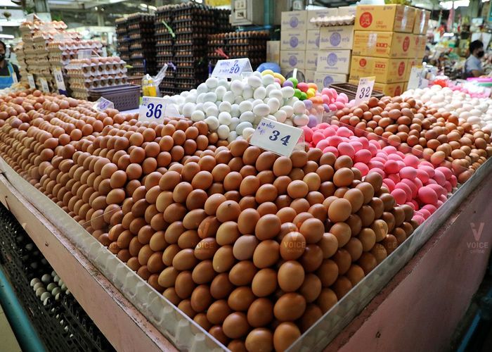 เอ้กบอร์ด ยัน 'ไข่ไก่' เพียงพอในประเทศ สั่งผลิต 44 ล้านฟองต่อวัน