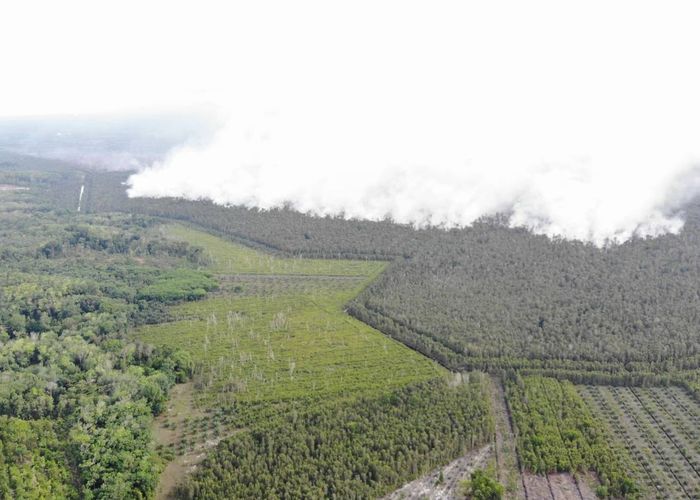 'วราวุธ' สั่งเพิ่มความชื้น 'ป่าพรุควนเคร็ง' ป้องกันไฟป่า