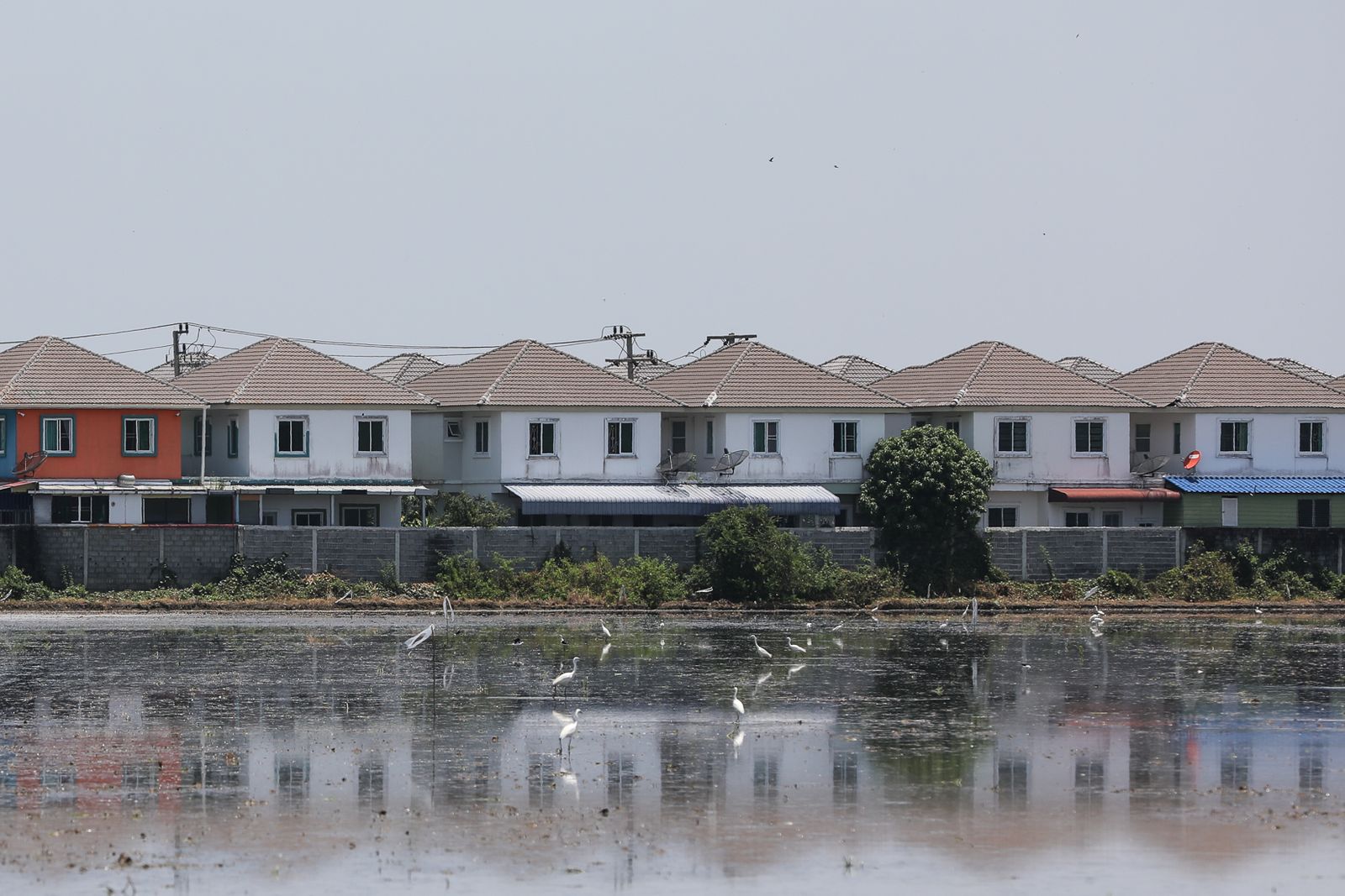 อสังหาริมทรัพย์ บ้านเดี่ยว บ้านจัดสรร ภาษีที่ดิน ชานเมือง