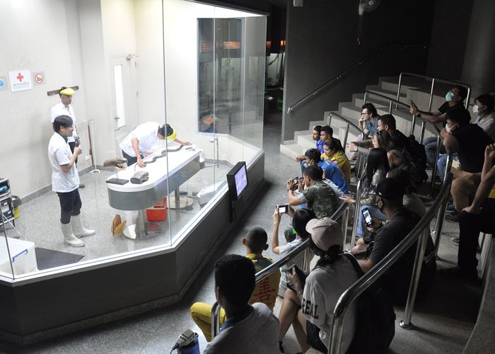 สถานเสาวภา ยันไม่เคยนำงูไปปล่อยนอกสถานที่ ใครแอบอ้างชื่อถือว่าผิด ก.ม.