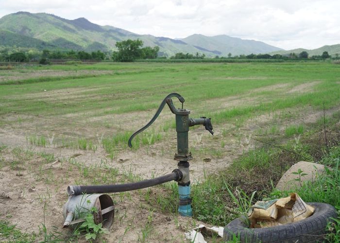 'เพื่อไทย' แนะรัฐแก้ภัยแล้งยั่งยืน ปีนี้ปชช.ไม่มีน้ำทำการเกษตรหนักสุด