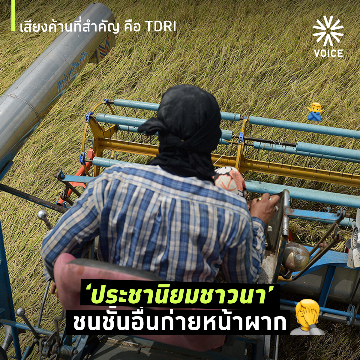 จำนำข้าว_1.jpg