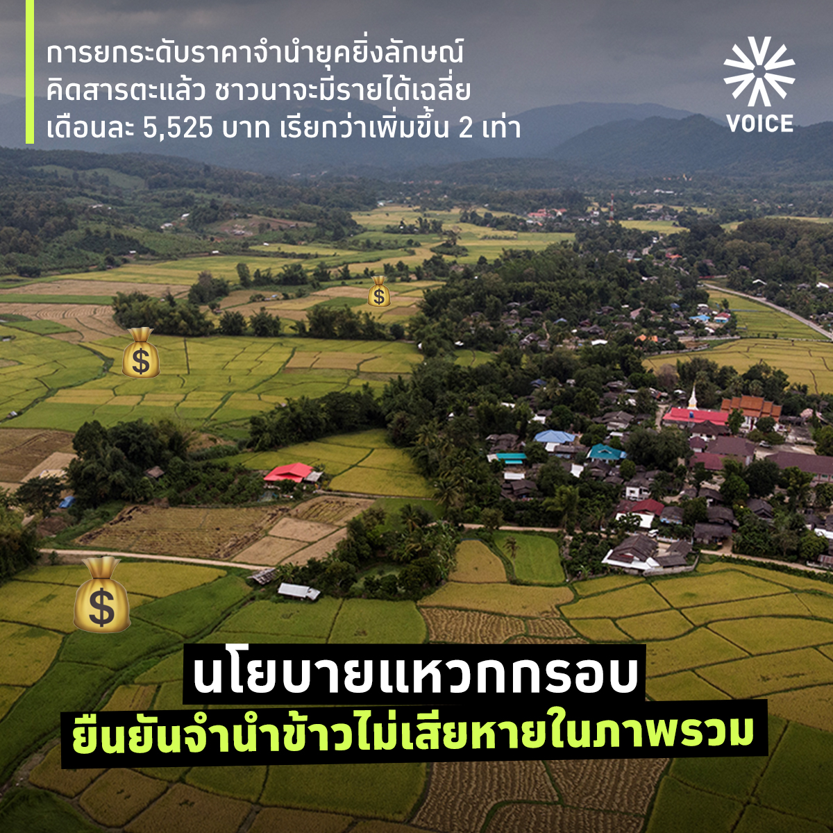 จำนำข้าว_5.jpg