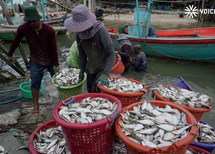 อสป. คาดเงินเฟ้อภาคประมงปี 2569 เฉลี่ย 4.19% สะท้อนต้นทุนและความต้องการตลาดที่ปรับตัวเพิ่มขึ้น