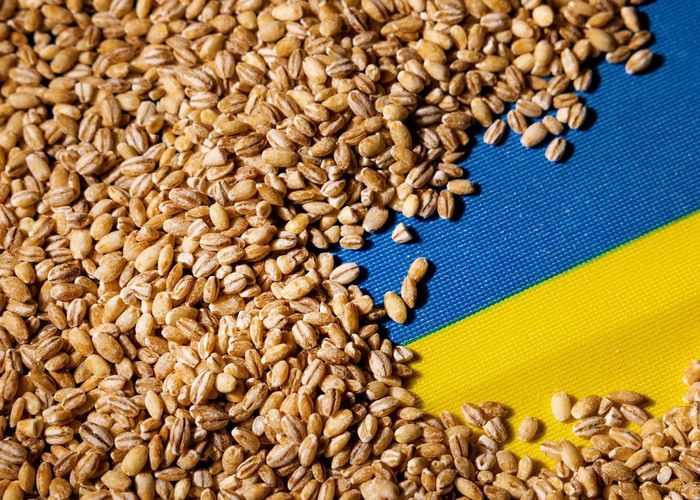 สงครามยูเครนกระทบอาหารโลก WFP เตือนปีหน้าอาจมีอาหารไม่พอกิน