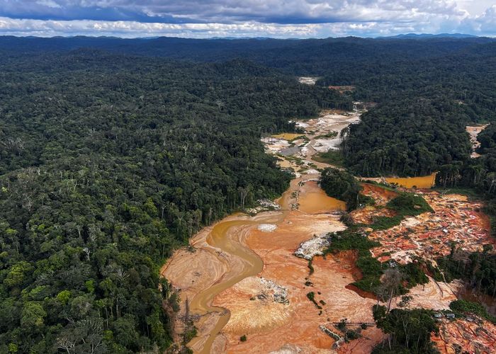 บราซิลทำลายป่าลดลง 34% หลังเปลี่ยน ‘ลูลา’ มาเป็นประธานาธิบดี