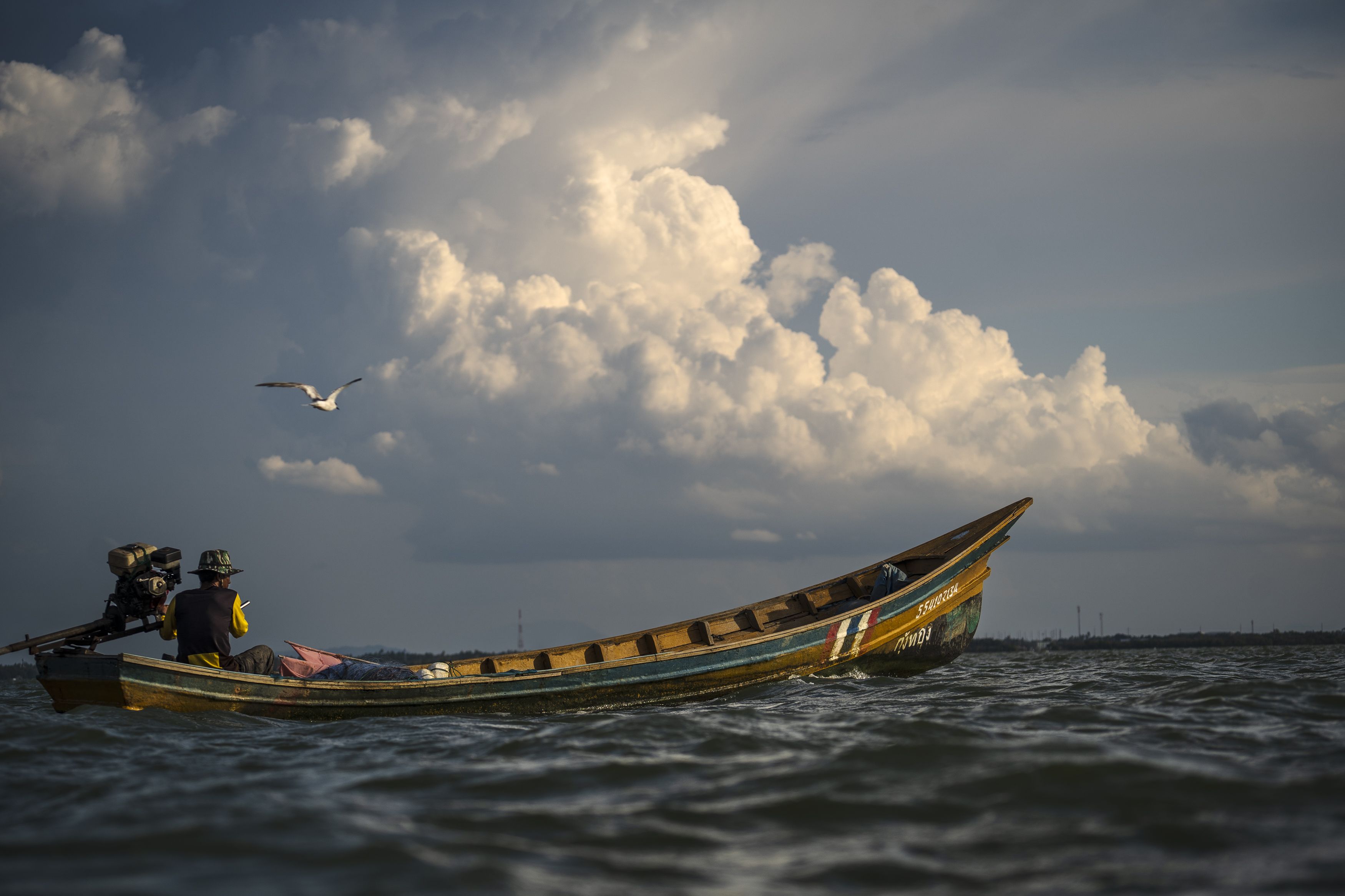ภาพสกู๊ป โลกรวน รัฐร้าย กับชีวิตไร้ทิศของลูกคนหาปลาในอ่าวปัตตานี 11
