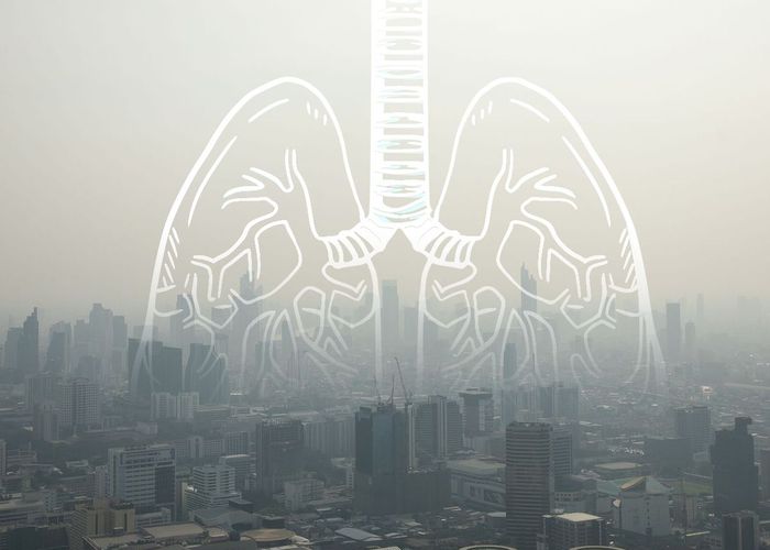 เปิดตัวเลขปี 67 พบ 2.1 ล้านคน ป่วยจากฝุ่นพิษ PM 2.5