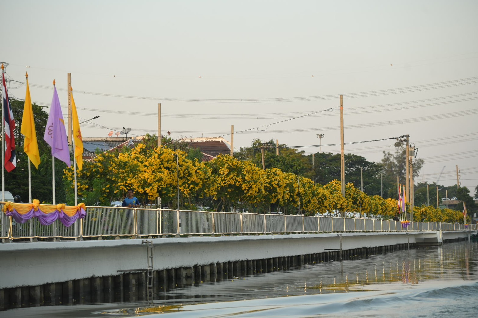 S__41181236.jpg