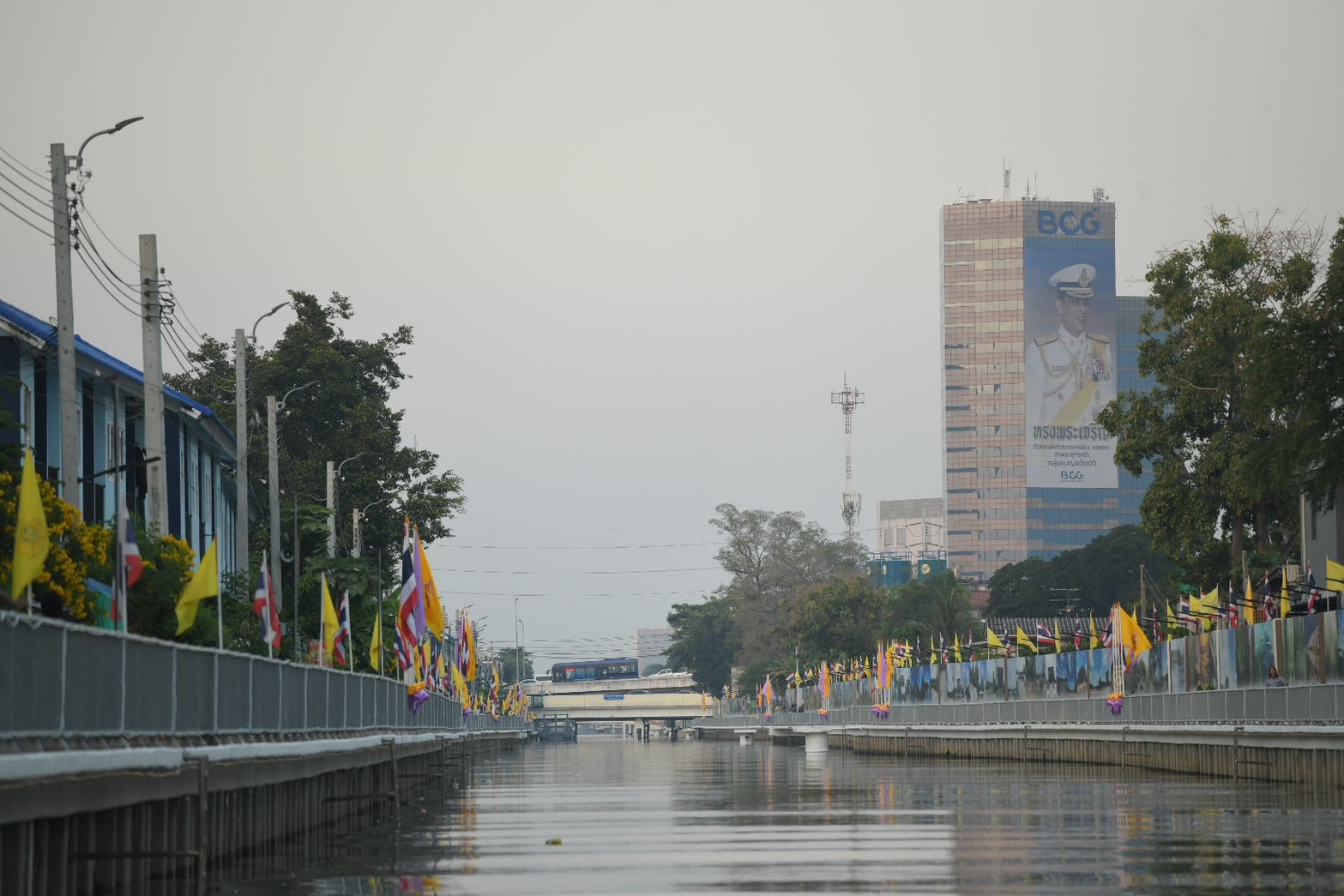 S__41181238.jpg