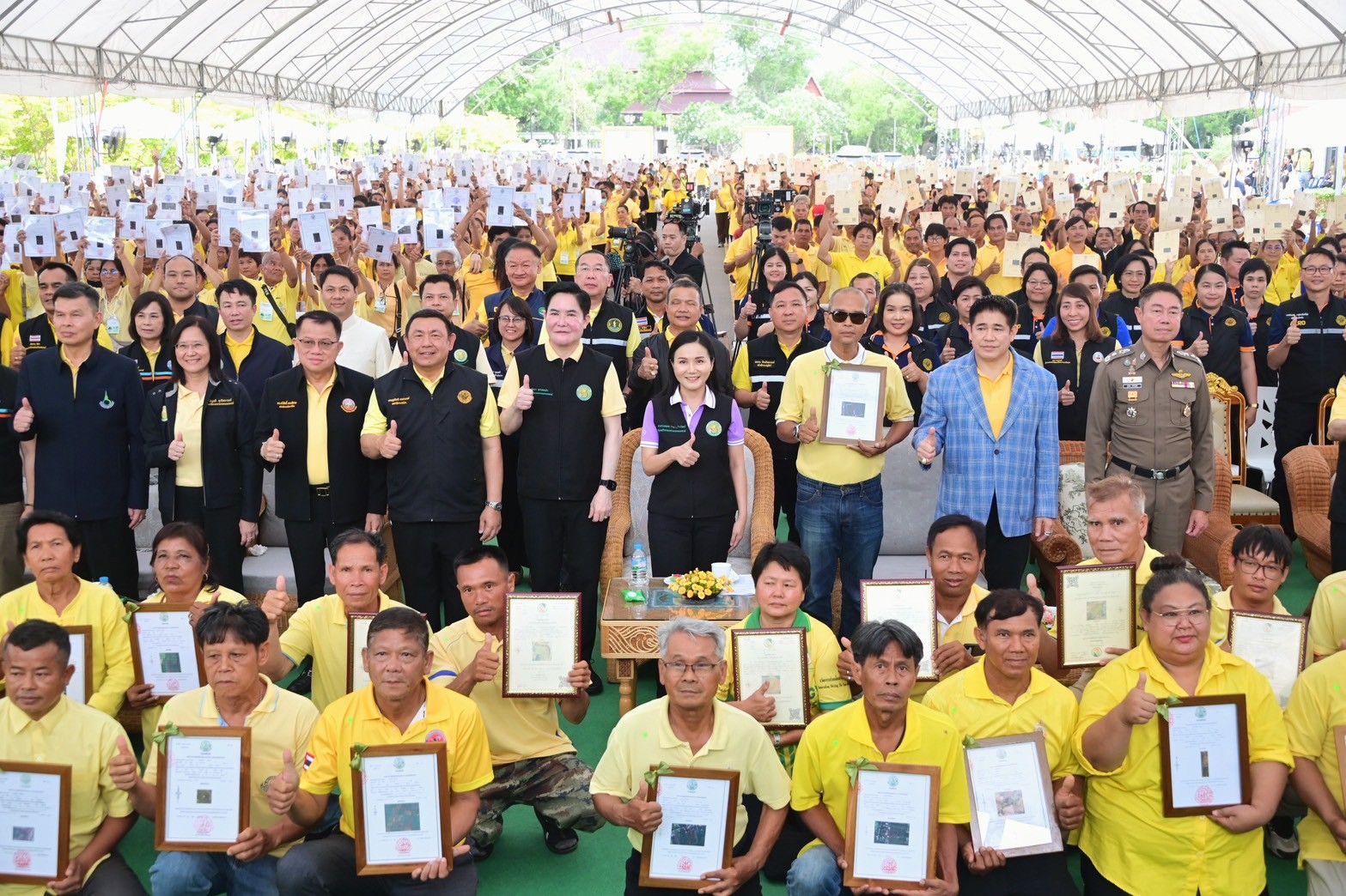 โฉนดต้นยาง โฉนดต้นไม้