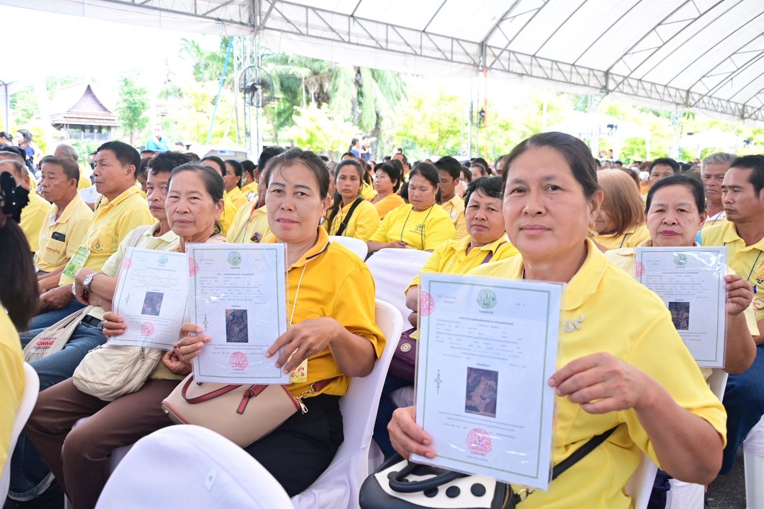โฉนดต้นยาง โฉนดต้นไม้
