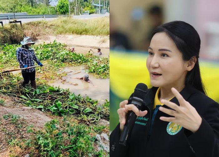 กรมชลประทาน 'จ้างแรงงาน' ทะลุ 6.3หมื่นคน 'นฤมล' ย้ำรัฐบาลแพทองธาร ส่งเสริมเกษตรกร-ประชาชนมีรายได้เสริม