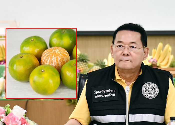 'พาณิชย์' ขึ้นทะเบียน GI 'ส้มโชกุนเบตง' สร้างชื่อเสียงและรายได้ให้เกษตรกรจังหวัดยะลากว่า 167 ล้านบาท